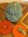 Crocheted Fall Pumpkin Set