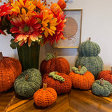 Crocheted Fall Pumpkin Set