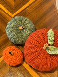 Crocheted Fall Pumpkin Set